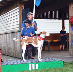 20190621-Estonia-European-Lure-Coursing-Mastership-Pinto-Chirons-Human-Touch-bronsmedalj-hanar-Fotograf-Roger-Nilsson.png