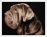 Ugo-fotograf-1-3.jpg