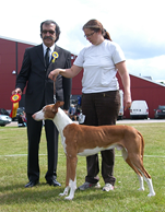 Tanga-Hed-SvVk-18-juni-2011-Arvid-bir.JPG